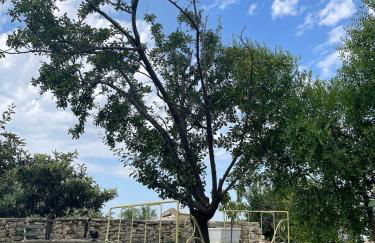 Bastidon, Petite bastide pour 2 avec bassin et jardin privé - Foto 44
