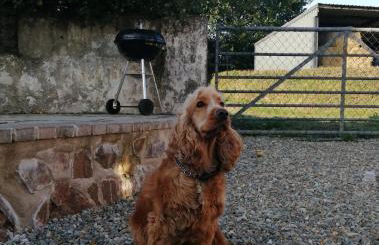 The Barn Square Island - Foto 8