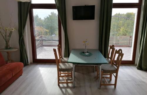 Landhotel Storchenkrug - Foto 53