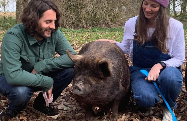 Starry Meadow - Foto 8