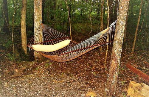 Secluded Watertree Tiny House near Old Hickory Lake – Private Deck, Trails & Breakfast - Foto 12