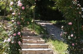 Casale Armonia - Foto 7