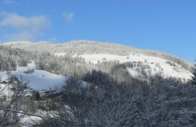 Stylish Chalet in Charming Megeve - Photo 30