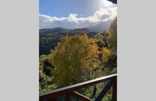 Periklis Guesthouse Anavriti. - Foto 30