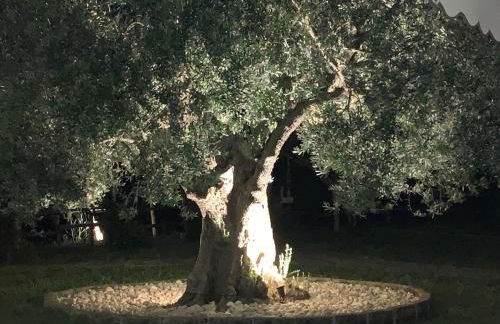 Agriturismo La Terrazza su Farfa - Foto 69