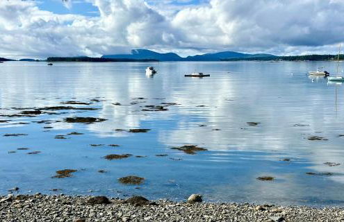 Lucky Stone Retreat - Private Beach & Acadia View - Foto 75