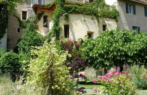 Gite nature les ANOURES en PROVENCE - Foto 13