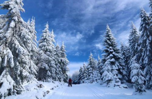 Schwarzwaldblick Rothaus - Photo 9