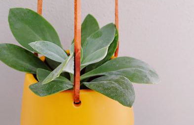 Erholen im Tiny House am Waldrand - Foto 15