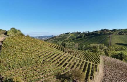 Casa Ressia - Foto 118