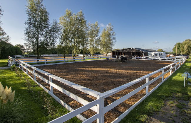 Luxus Resort Rügen - Foto 75