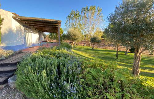 Courela do Monte Novo - Photo 48