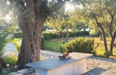 Beachfront cottage house in olive grove - Foto 42