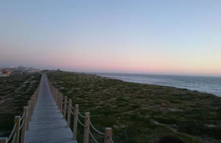 Blue Ocean - Foto 33