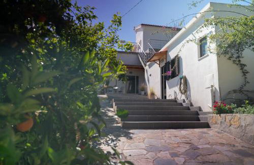 Iris Cretan Mountain Escape - Photo 21