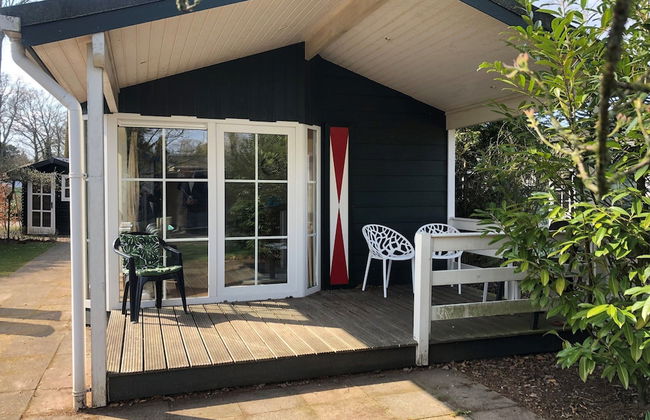 Chalet in Voorthuizen With Indoor Pool - Photo 11