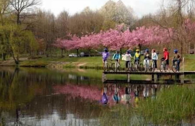 VVF Les Vosges Bitche - Foto 38