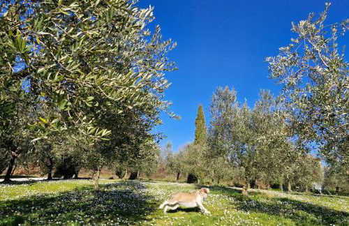 Agriturismo Val della Pieve - Foto 3