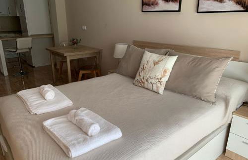 Apartamentos Hernán Cortés - Foto 64