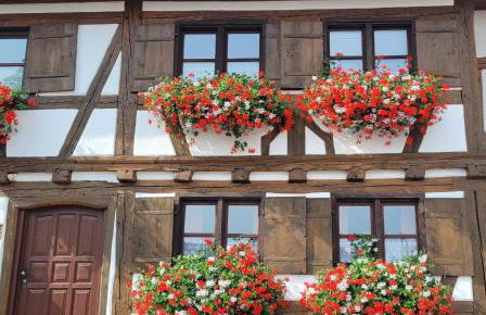 Ferienwohnung Hiemer - Foto 1