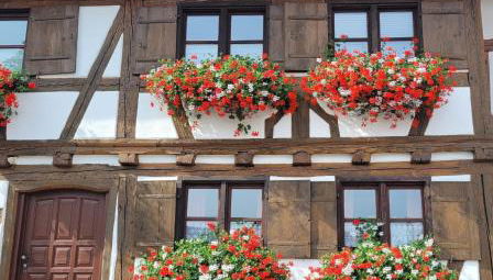 Ferienwohnung Hiemer - Foto 1