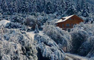 Vytina log house - Photo 19