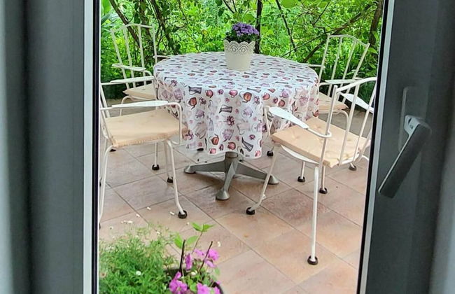 Green Garden Oasis - Photo 38