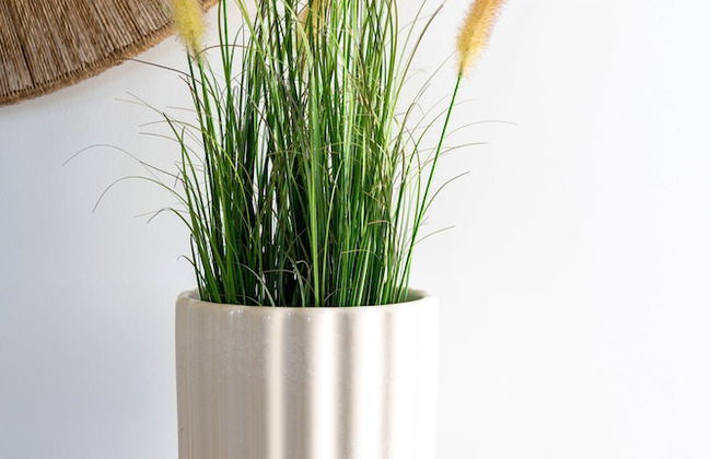 Blue Cottage Bruny Island - Foto 39