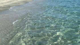 Les pieds dans l eau de Betty Ghisonaccia plage 50 m - Foto 1