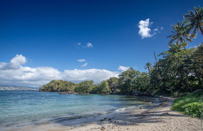 Horizon Bleu - Photo 16