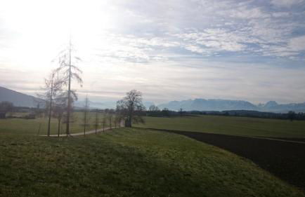 Ferienwohnung an der idyllischen Salzachschleife Nähe Salzburg - Foto 40