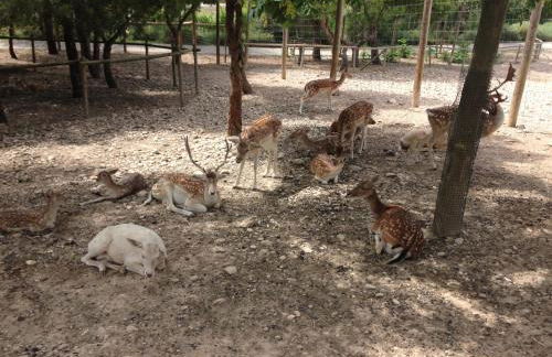 Apartamento Turistico Cigüeña de Arguedas - Foto 43