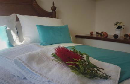 O Eido de Celia - Foto 57