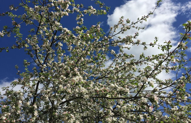 House on the Volga Zavidovo - Photo 18