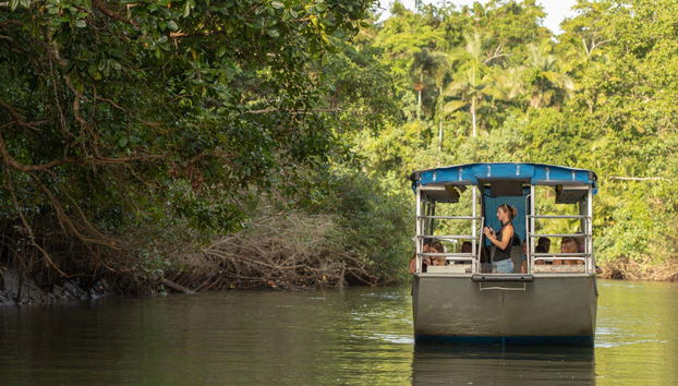 Excursión a Daintree, Mossman Gorge y Cape Tribulation - Foto 2