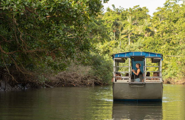 Excursión a Daintree, Mossman Gorge y Cape Tribulation - Foto 2