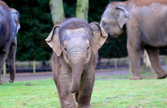 Loxley Barn, 1-bed Cottage Retreat - Foto 24