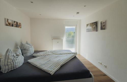 Bürgstadt, Am Bischof mit Sonnenterrasse, 1 bis 4 Betten - Foto 45