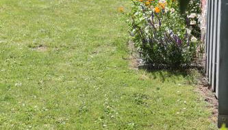 Lütt Hus Rügen, Ferienhaus in Strandnähe - Foto 5