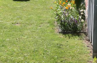 Lütt Hus Rügen, Ferienhaus in Strandnähe - Foto 5