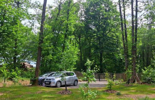 Cabin indebos - Foto 8