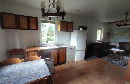 Biały Dzik Uszyszek - Foto 9