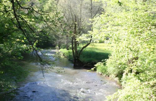 Ferienwohnung Vogelsang - Photo 18