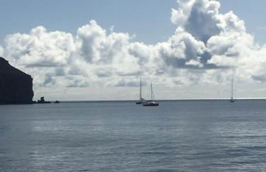 Paris Lovely - Photo 67