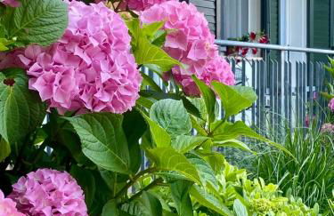 Elegante Appartamento con Vista - Colli Euganei - Foto 22