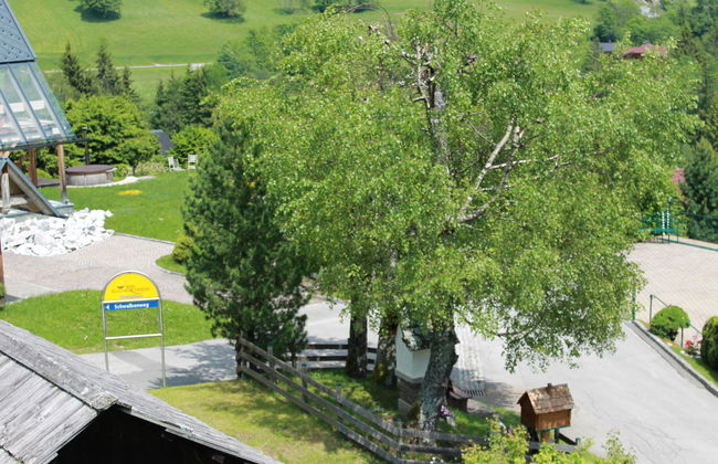 3 bedroom Apartment in Bad Kleinkirchheim with garden and terrace - Photo 41