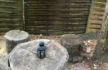 La Cabane des Trappeurs - Foto 33