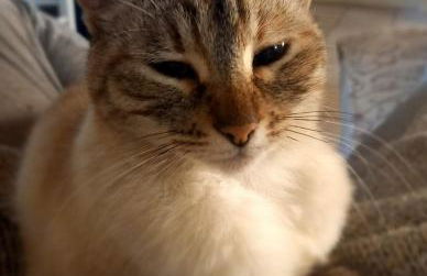 1780 Apartments - Foto 26