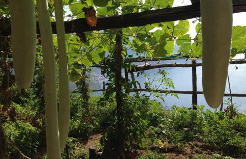 Villa San Cosma - Foto 45