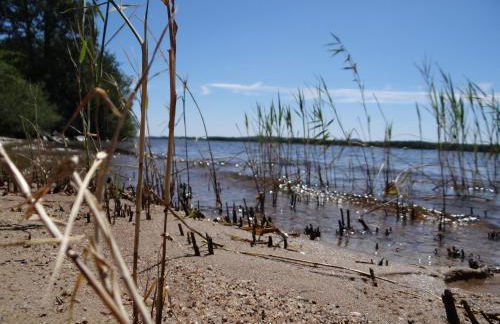 Appartementhaus "Schöni" - Foto 38